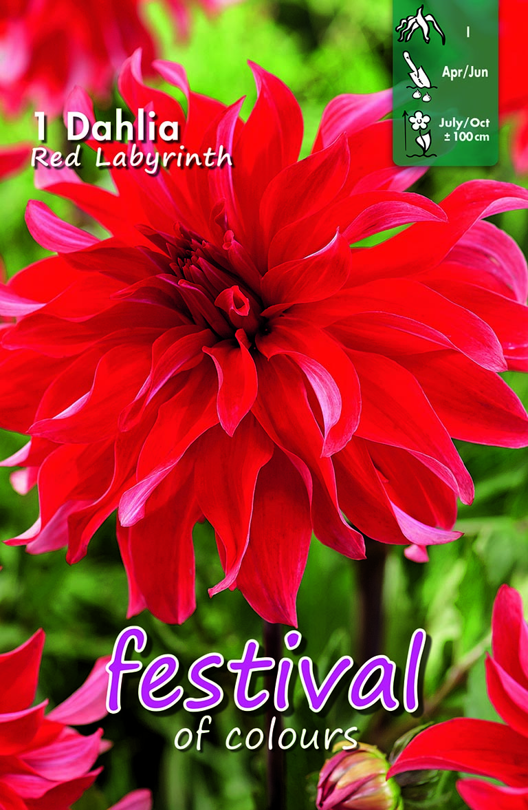 Festival Red Labyrinth
