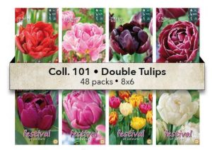 Coll. 101 Festival Tulips 12/+ Double 48 packages - Fred De Meulder b.v.